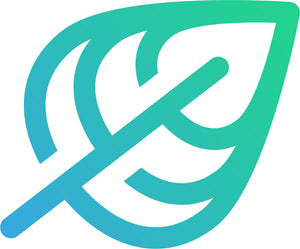 FreshWhip Mint Infusion Chargers 8.2g - 50pks